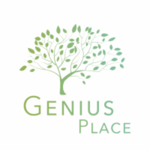 logo-genius place mouscron